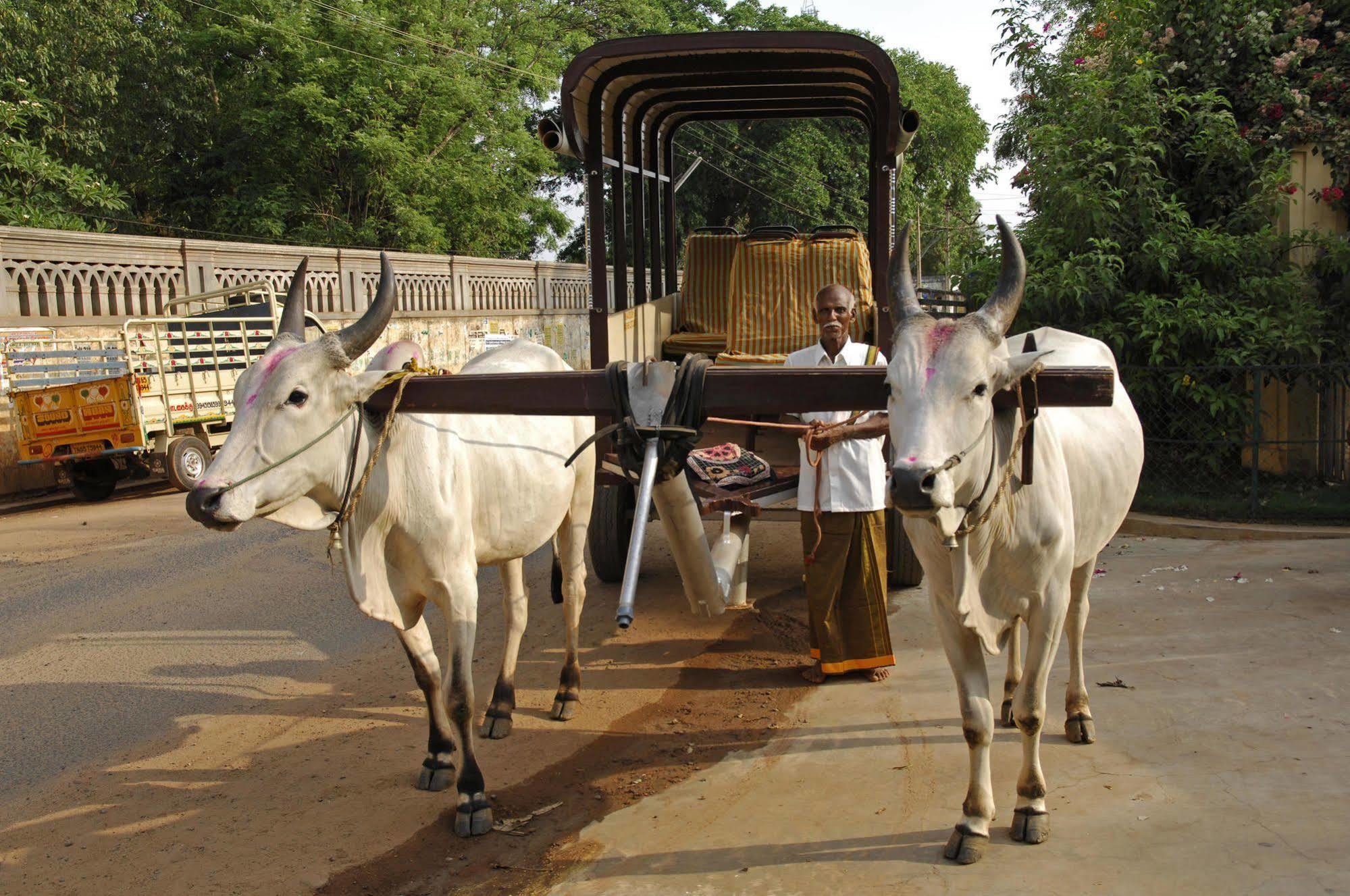 Visalam Chettinad Palace - A Cgh Earth Experience Kānādukāttān Zewnętrze zdjęcie